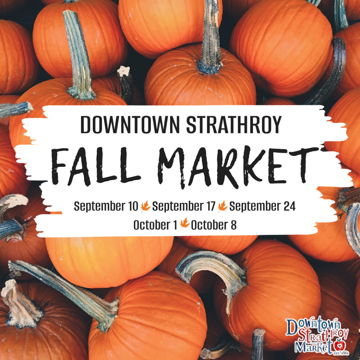 Downtown Strathroy Fall Market Visit Middlesex